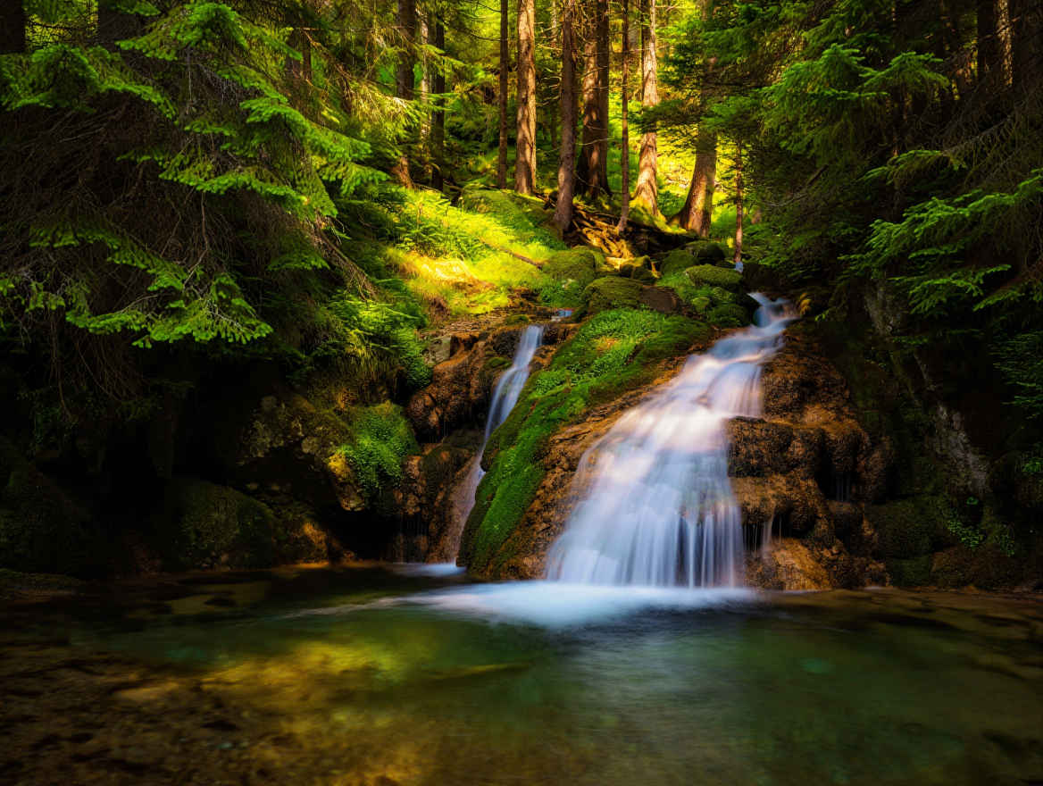 Schwarzwald Naturerlebnis — Deutschland Reiseziel